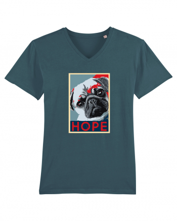 Hope PUG Stargazer