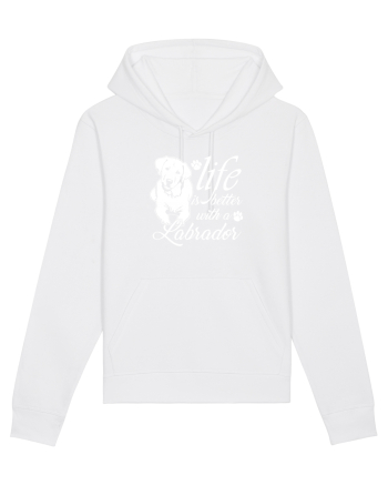 Labrador White