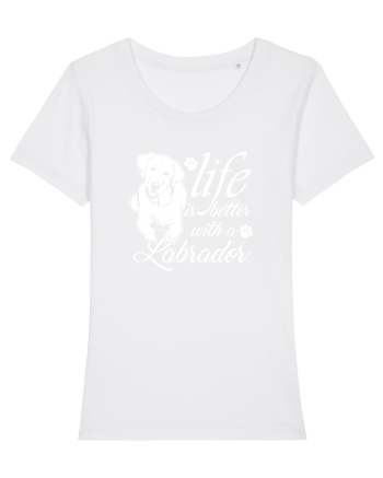 Labrador White