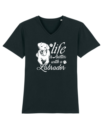 Labrador Black