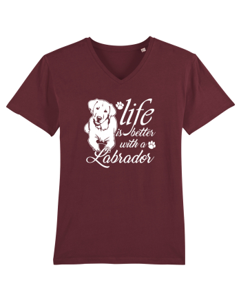 Labrador Burgundy