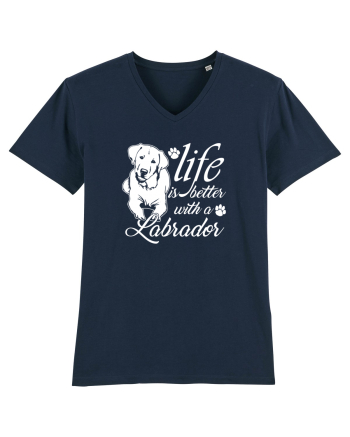 Labrador French Navy