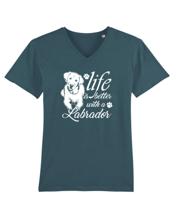 Labrador Stargazer