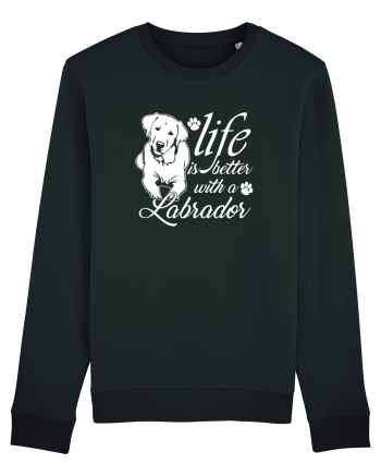 Labrador Black