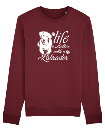 Labrador Burgundy