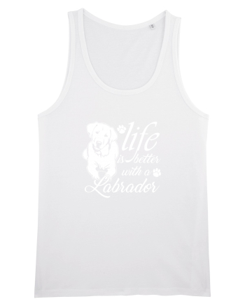 Labrador White