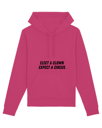 elect a clown expect a circus Raspberry
