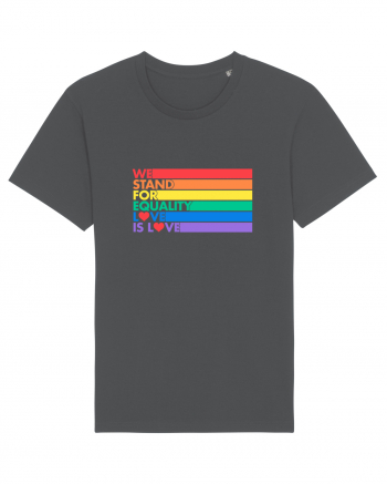 Love is Love Anthracite