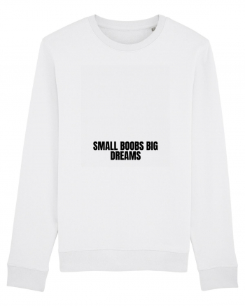 small boobs big dreams White