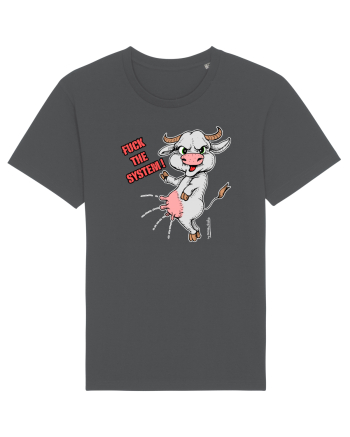 Fuck the system Anthracite