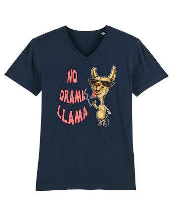 DRAMA LLAMA French Navy