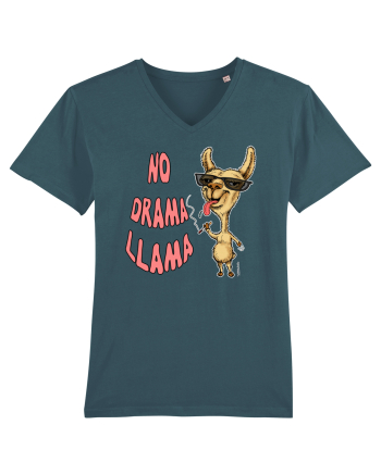 DRAMA LLAMA Stargazer