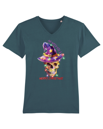 We Witch You A Merry Christmas Stargazer