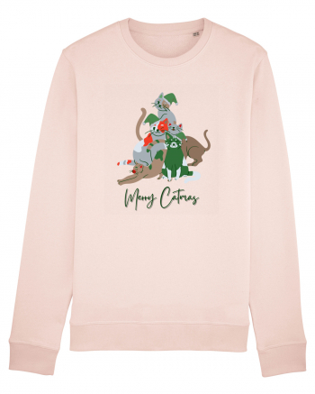 Merry Catmas Green Candy Pink