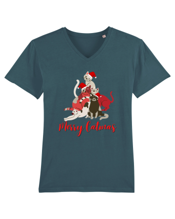 merry catmas red Stargazer