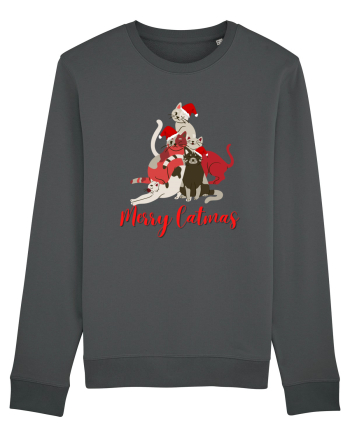 merry catmas red Anthracite