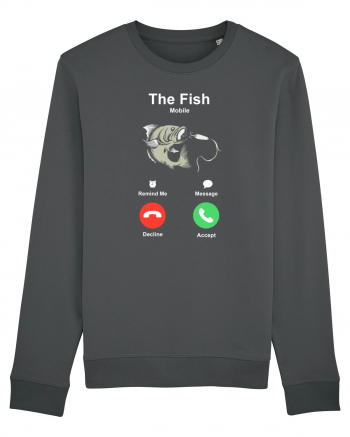 The fish is calling and I must go. Anthracite