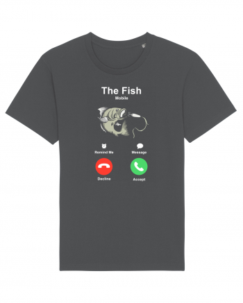 The fish is calling and I must go. Anthracite