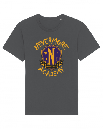 Nevermore Academy Anthracite