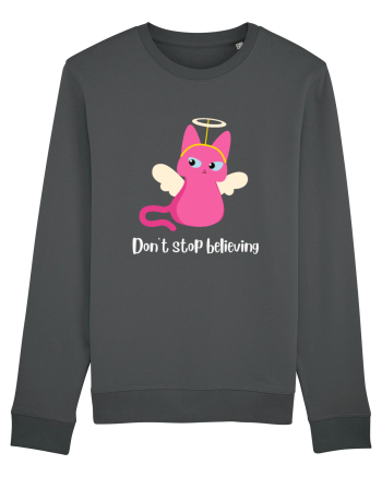 don t stop believing Anthracite
