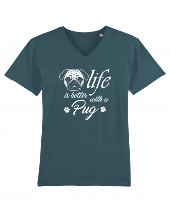 Pug life Stargazer