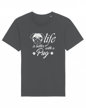 Pug life Anthracite