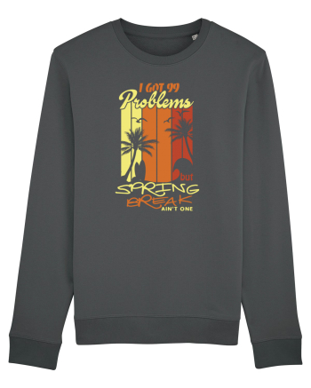 Spring break Anthracite