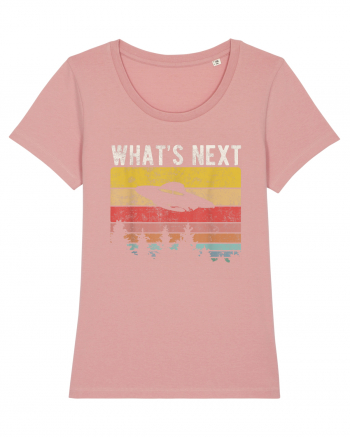 What's Next Sarcastic Retro Sunset Extraterrestrial UFO Canyon Pink