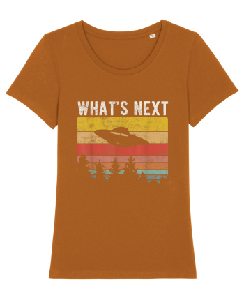 What's Next Sarcastic Retro Sunset Extraterrestrial UFO Roasted Orange