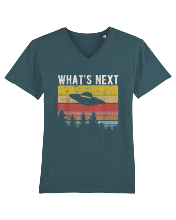 What's Next Sarcastic Retro Sunset Extraterrestrial UFO Stargazer