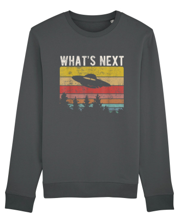 What's Next Sarcastic Retro Sunset Extraterrestrial UFO Anthracite