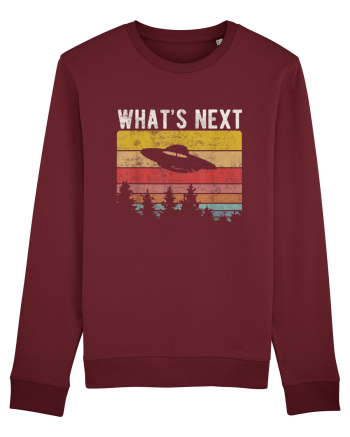 What's Next Sarcastic Retro Sunset Extraterrestrial UFO Burgundy
