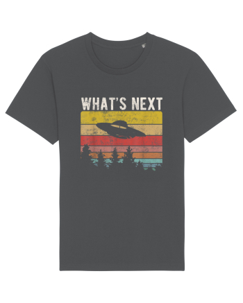 What's Next Sarcastic Retro Sunset Extraterrestrial UFO Anthracite