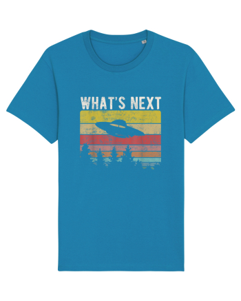 What's Next Sarcastic Retro Sunset Extraterrestrial UFO Azur
