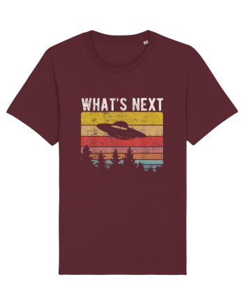 What's Next Sarcastic Retro Sunset Extraterrestrial UFO Burgundy