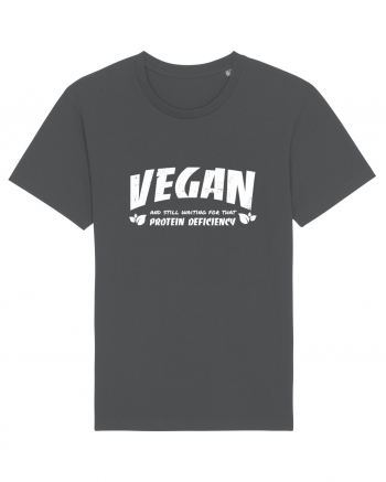 Vegan Anthracite