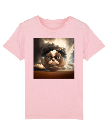Grumpy Sphere Cat Cotton Pink
