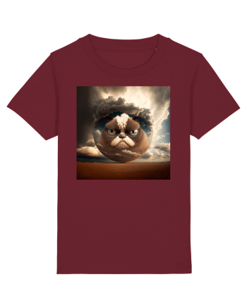 Grumpy Sphere Cat Burgundy