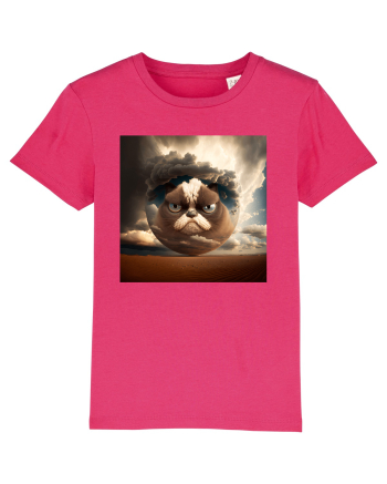Grumpy Sphere Cat Raspberry