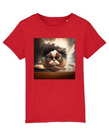 Grumpy Sphere Cat Red
