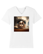 Grumpy Sphere Cat Tricou mânecă scurtă guler V Bărbat Presenter