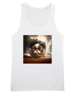 Grumpy Sphere Cat Maiou Bărbat Runs