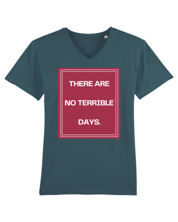 there are no terrible days2 Stargazer