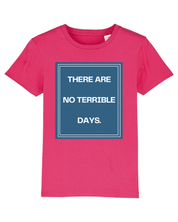 there are no terrible days4 Raspberry