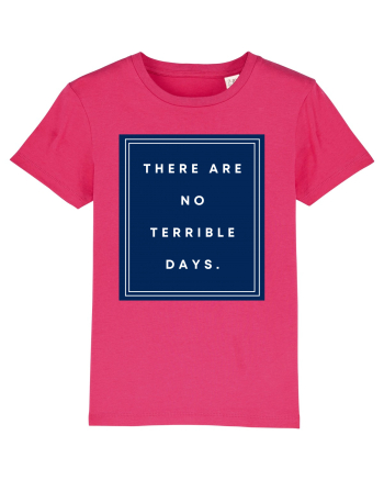 there are no terrible days6 Raspberry