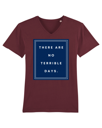 there are no terrible days6 Burgundy