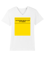 i am the creator of all my success3 Tricou mânecă scurtă guler V Bărbat Presenter