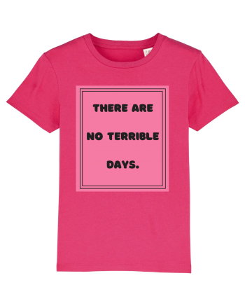 there are no terrible days7 Raspberry
