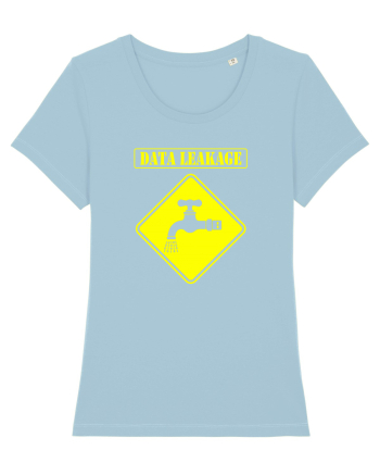 Data Leackage Sky Blue