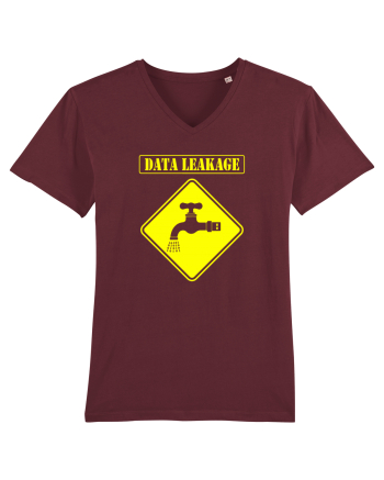 Data Leackage Burgundy